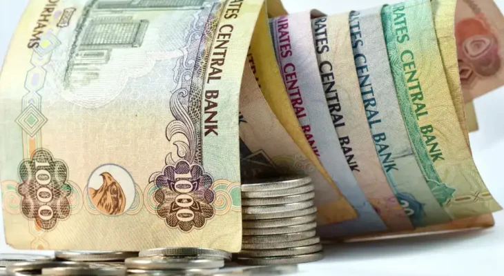 1 UAE Dirham in Indian Rupees - Live Exchange Rate Update for Today