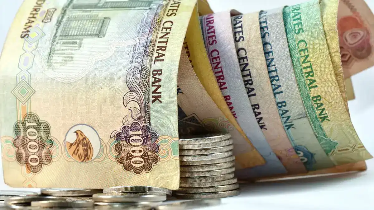 1 UAE Dirham in Indian Rupees - Live Exchange Rate Update for Today
