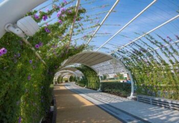 "Air-conditioned outdoor walking track in Rawdat Al Hamama Garden, Qatar, designed for year-round exercise and comfort."