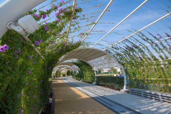 "Air-conditioned outdoor walking track in Rawdat Al Hamama Garden, Qatar, designed for year-round exercise and comfort."