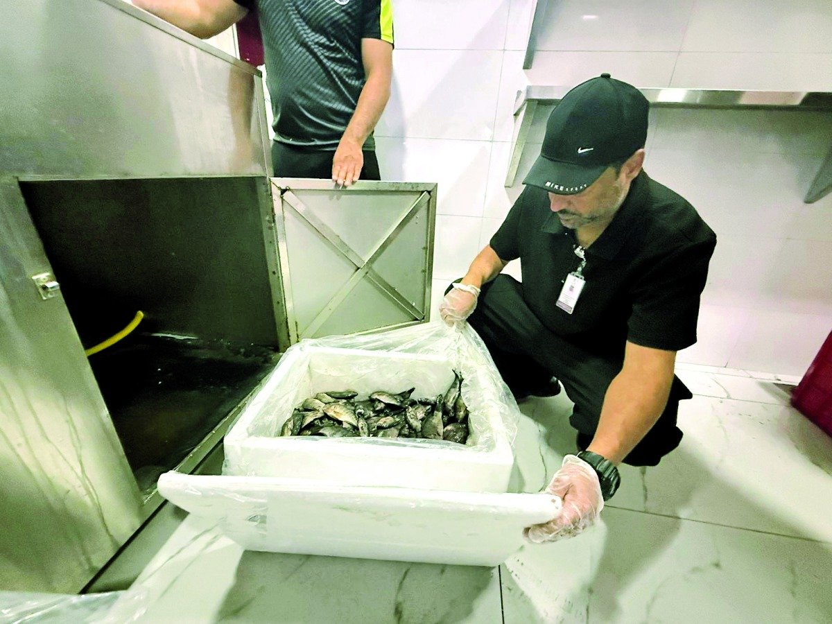 Rayyan Municipality Raid: Spoiled Fish Seized, Shops Closed